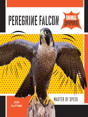 Peregrine Falcon - ebook